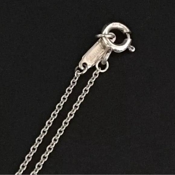 TIFFANY&CO. Silver 925 Interlocking Circles Pendant Necklace - Picture 6 of 8